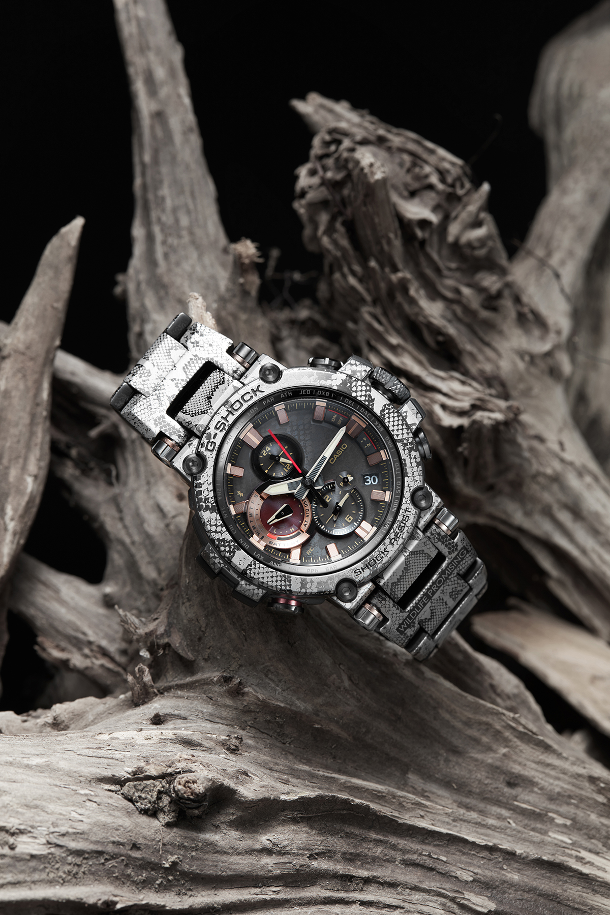 2020-11-7 卡西欧景物1390-1-1.jpg